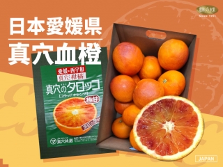 日本愛媛縣真穴血橙 2Kg/箱 (約15~18顆) 原裝空運進口 - 琥珀般絕美色澤 橘香濃郁 產季相當短促的珍貴血橙 - 農林水果嚴選 日本高級伴手禮