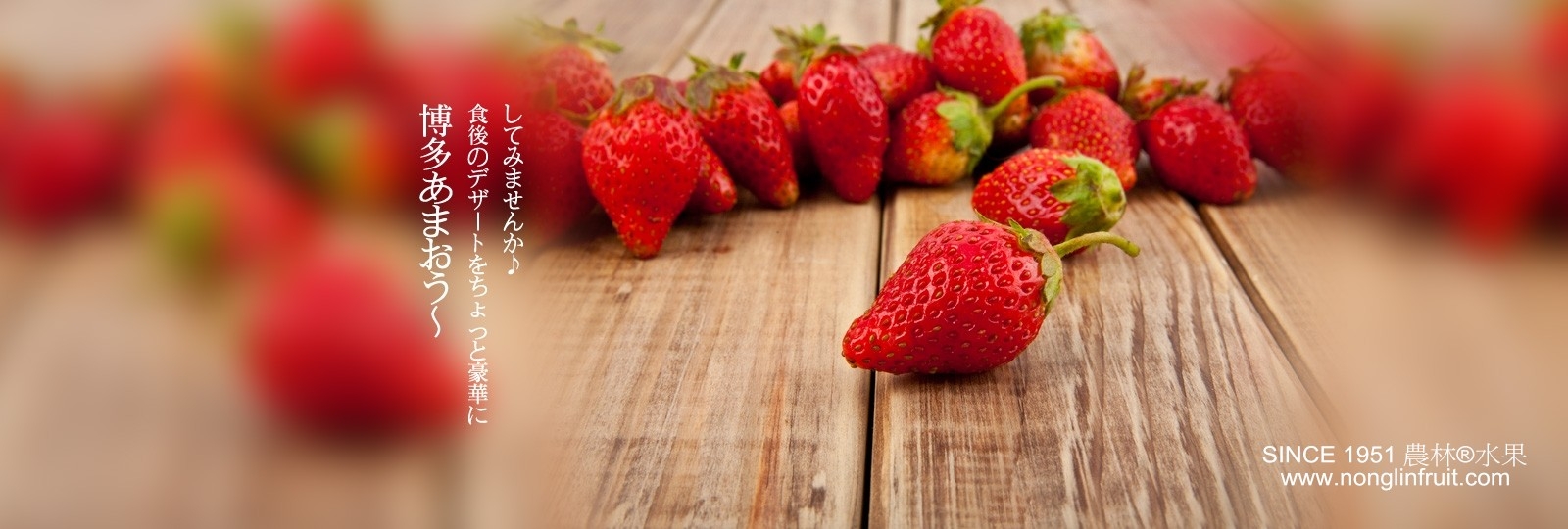 2023年-農林新版-日本草莓+白網