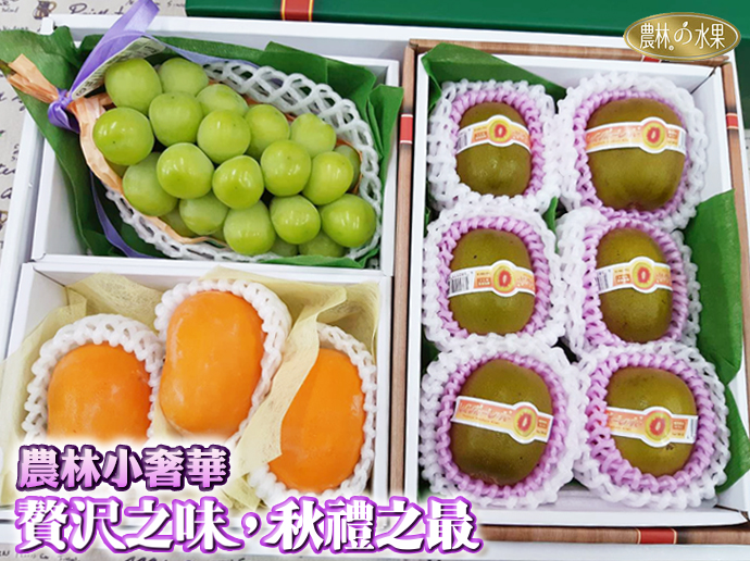 日本水果 日本麝香葡萄 日本高級水果禮盒