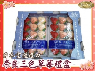 【門市自取限定】日本奈良空運 夢幻三色草莓 大顆粒 (2PE 共 12 粒入) 紅色：古都華草莓 粉色：淡雪草莓 白色：珍珠姬草莓 色澤絕美的天使果實 農林水果 頂級日本空運嚴選草莓