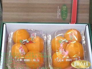 已售完-空運日本進口水果禮盒-日本溫室蜜柑禮盒[(4-6入)x2小盒入)或(4-6入)x4小盒入)-日本水果禮盒包裝-農林高級水果禮盒