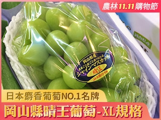 空運日本岡山 晴王葡萄禮盒單房入(XL規格) 2020雙十一購物季 農林水果