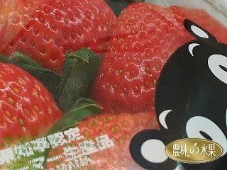 日本空運熊本縣日本草莓禮盒(5~12入x2或4PE入)-農林高級水果禮盒-空運日本進口水果禮盒-日本精緻水果禮盒(春節過年送禮佳品.一年只生產一次)-Since1951-農林水果-台北市品牌水果