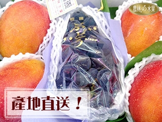 在地好禮-台灣特選愛文芒果*4+台灣溫室巨峰葡萄*1-台灣當季新鮮水果禮盒-農林水果為您推薦水果禮盒