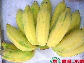 台灣精緻特選水果-農林水果-Since1951年-農林高級精緻台灣本土水果-台灣特選芭蕉