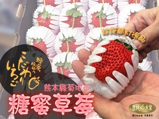 【門市自取限定】超奢華日本最高等級草莓 日本空運菊池糖蜜特大草莓 (24 粒規格) 每批數量不一定 依現貨為主 日本空運進口糖蜜草莓 農林水果高級禮盒