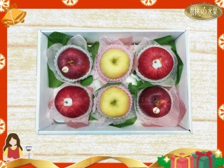 《此項商品已售完→請回→【首頁】選購》→日本青森蘋果 3 種品種 6 顆大蘋果經典雅緻禮盒~滿足你的味蕾 !!! 農林水果 伴手禮盒最佳推薦